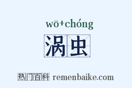 涡虫是什么意思的图片